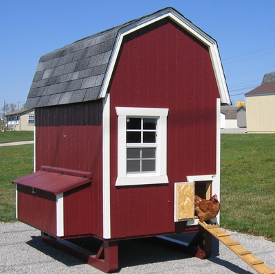 Tucker Murphy Pet™ Daria 24 Square Feet Walk In Chicken Coop with Nesting Box For Up To 12 Chickens SKU: TKMP1569